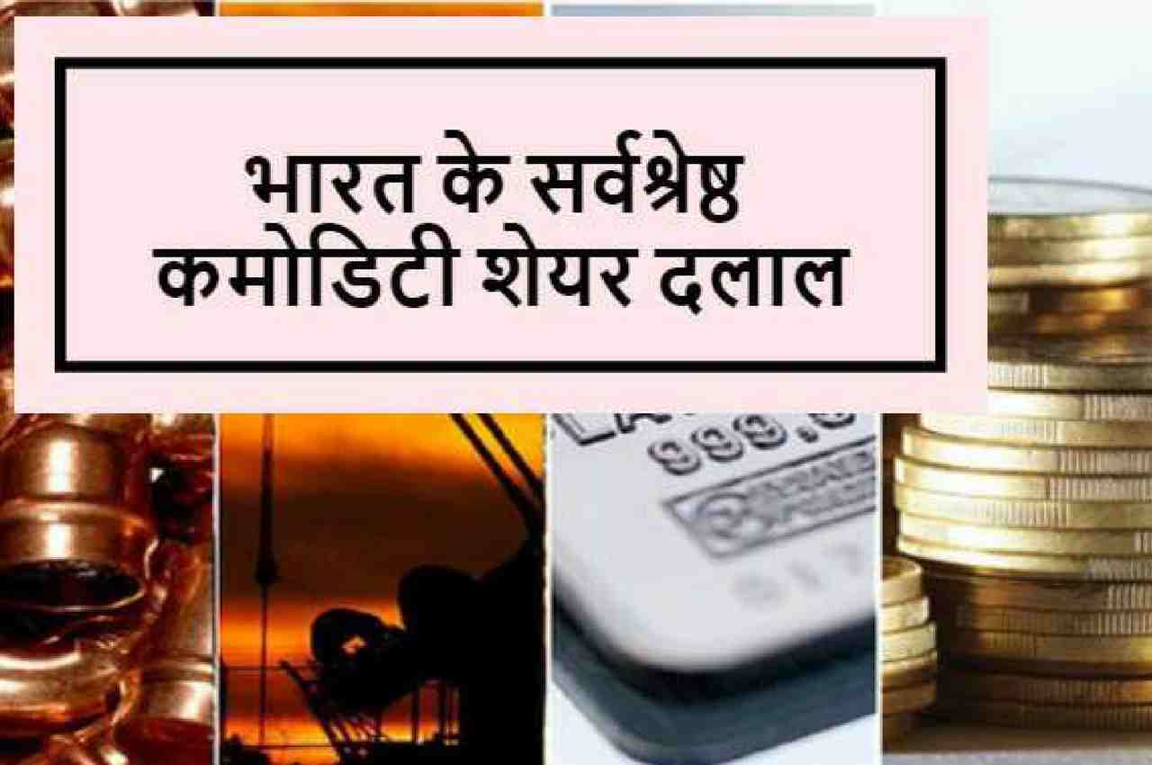 5 सर वश र ष ठ कम ड ट श यर दल ल 5 Best Commodity Stock Brokers In Hindi