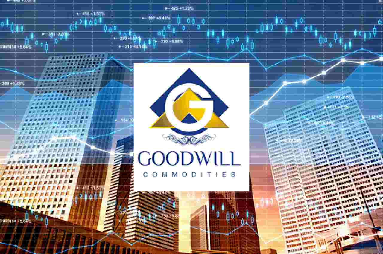 ग डव ल कम ड ट ज क व श ल षण Goodwill Commodities Review 2020